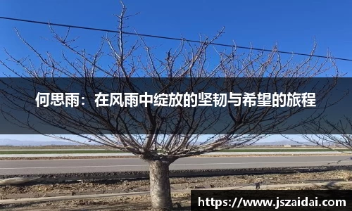 米兰体育平台